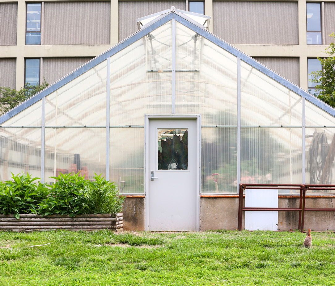 A greenhouse structure
