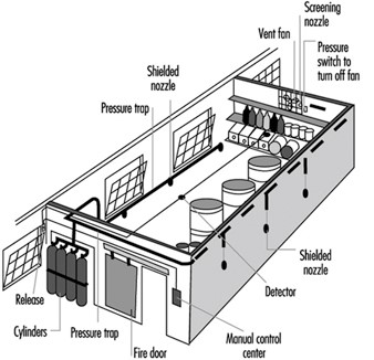 A fire suppression system layout in a building