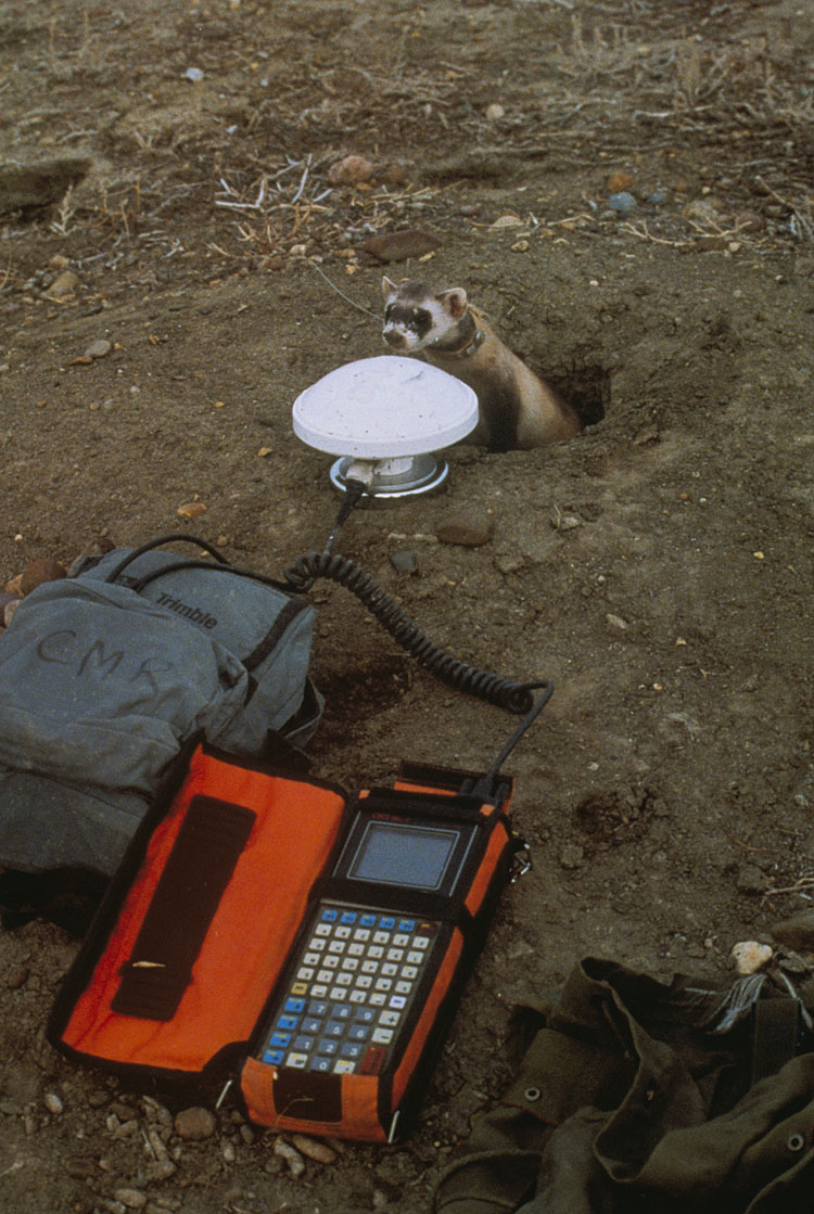 GPS surveying equipment with receiver and controller