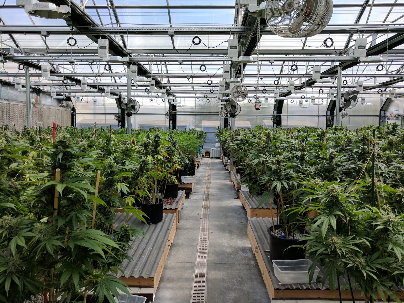 Interior of a modern greenhouse structure