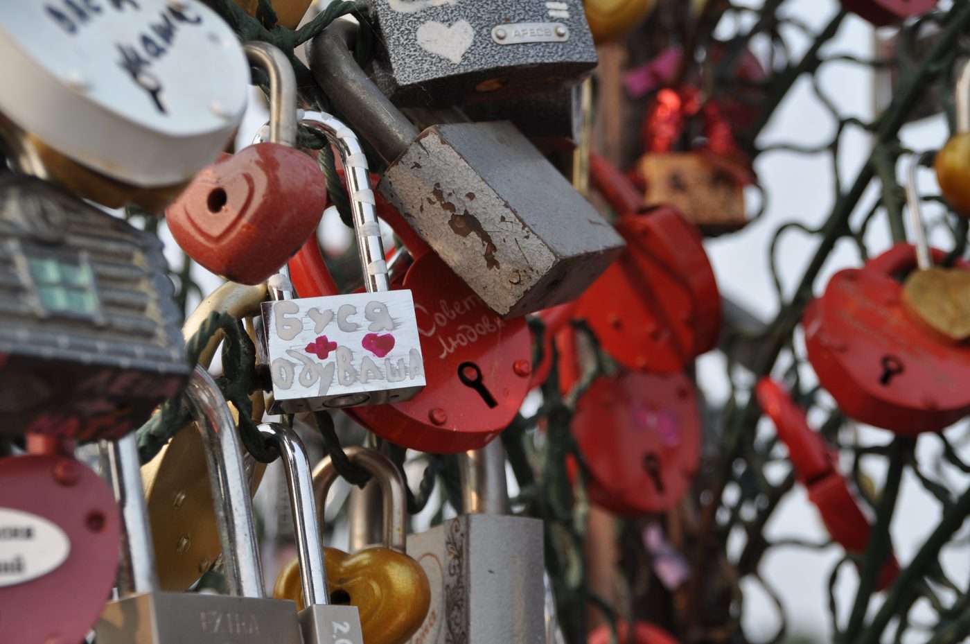 Several padlocks attached to a fence