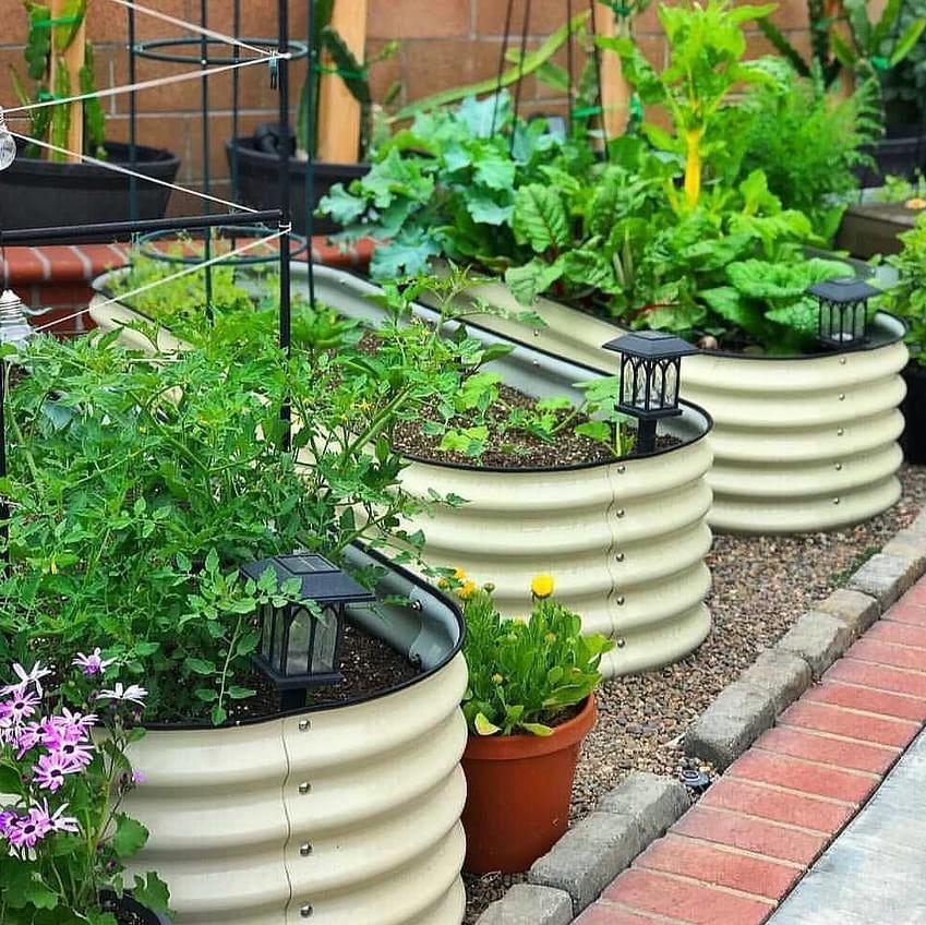 Metal raised garden beds with plants