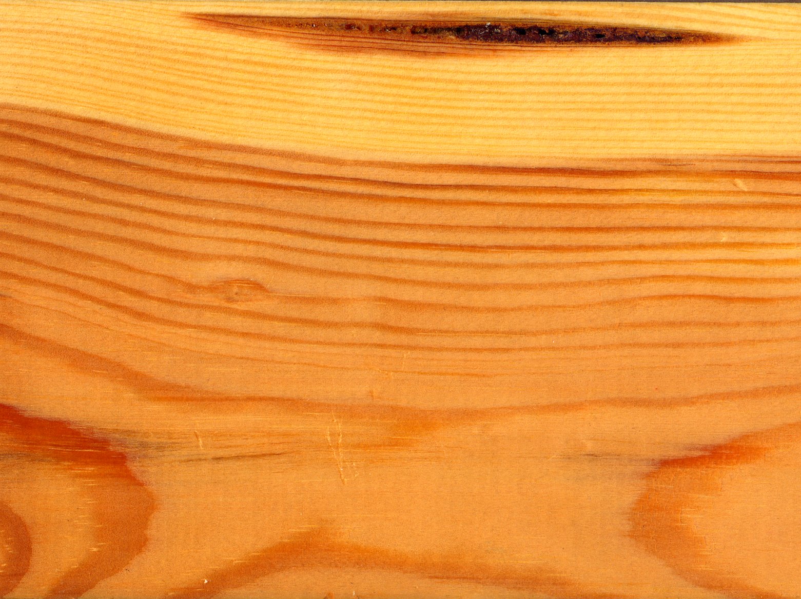 Close-up of softwood grain pattern