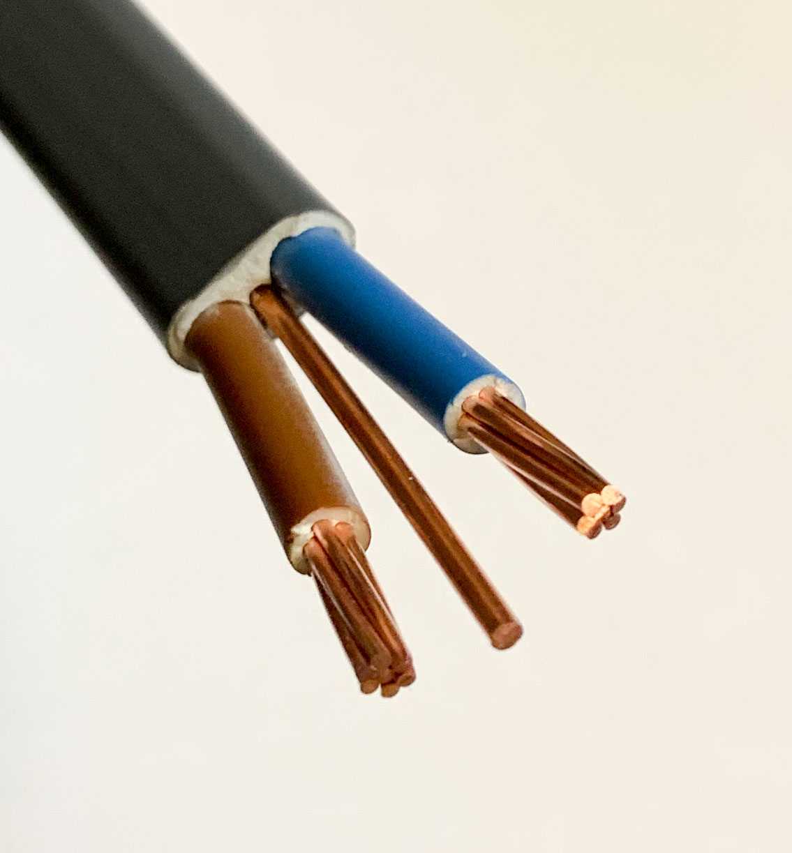 Close-up of twin core electrical cable