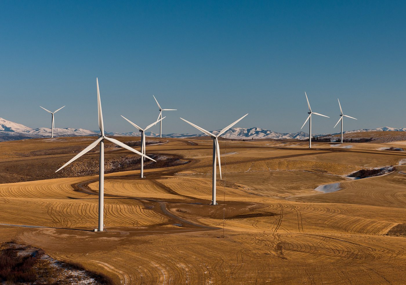 Multiple wind turbines in a field