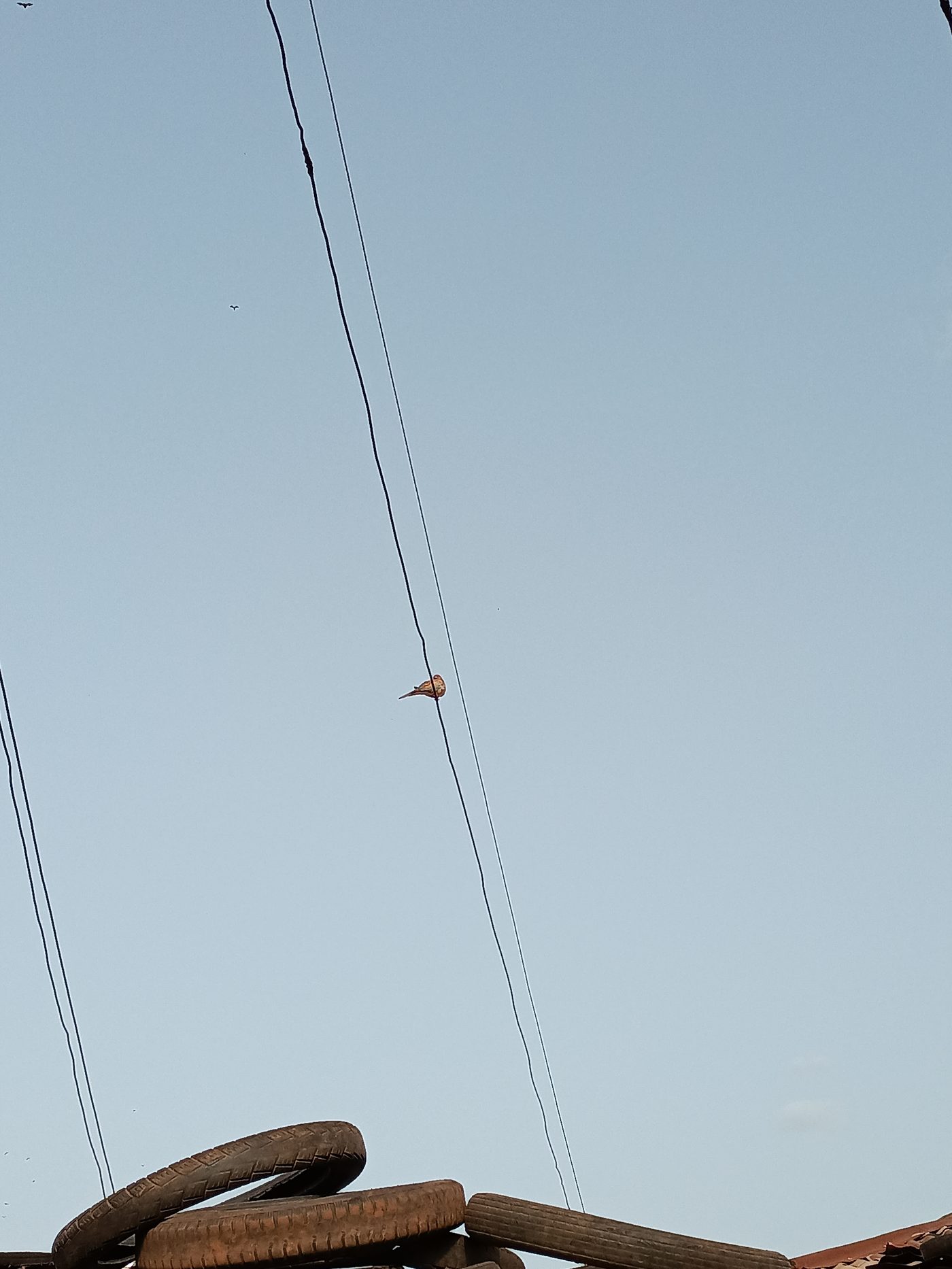 Electrical wires suspended in the air