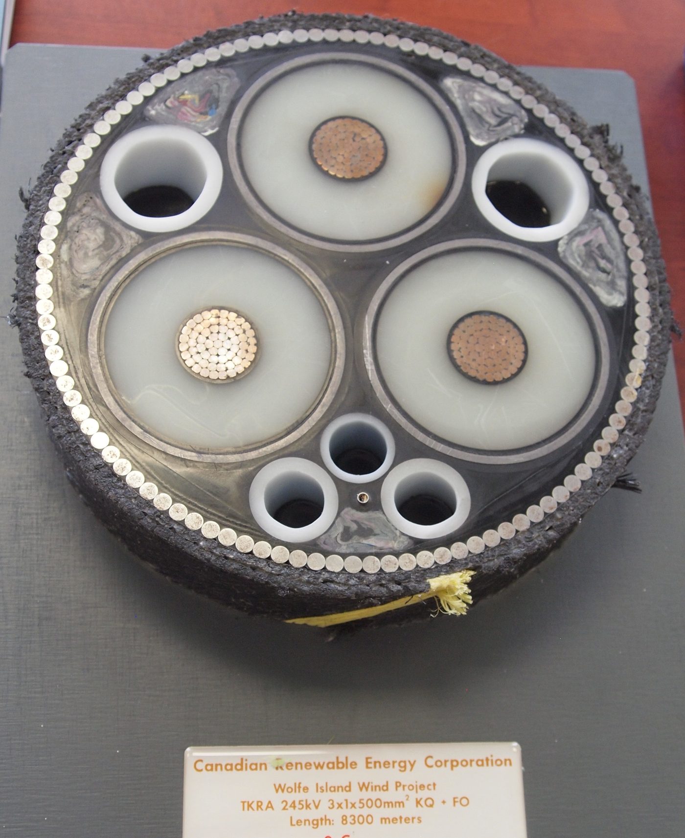Cross-section of XLPE insulated power cable